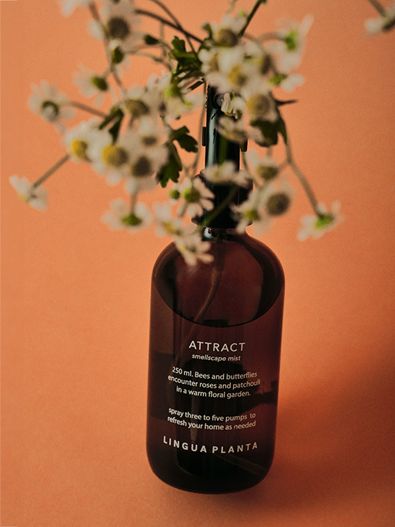 attract roomspray Lingua Planta natural perfume smellscape olfactory Consciously handcrafted merle bergers cover